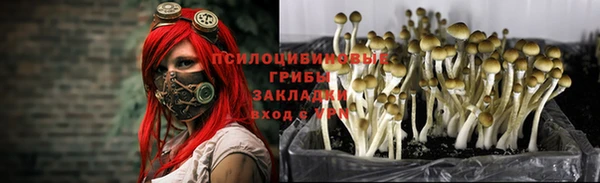 твердый Дмитров